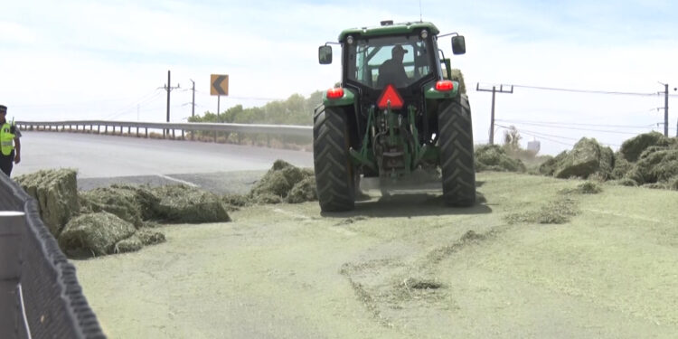 Pacas de pastura caen de tráiler en movimiento en Meoqui