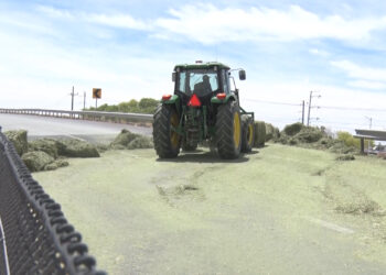 Pacas de pastura caen de tráiler en movimiento en Meoqui