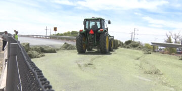 Pacas de pastura caen de tráiler en movimiento en Meoqui