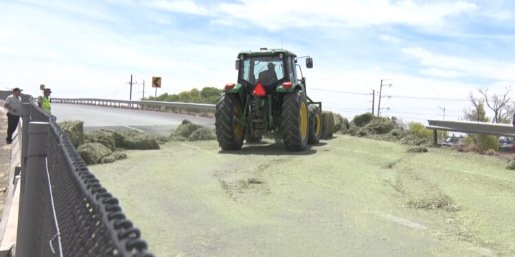 Pacas de pastura caen de tráiler en movimiento en Meoqui