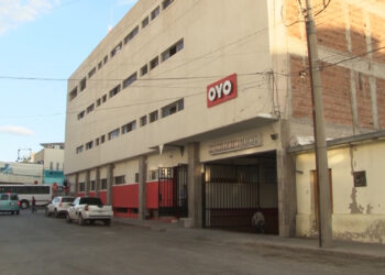 Aseguran plantío de marihuana en hotel del centro de Chihuahua
