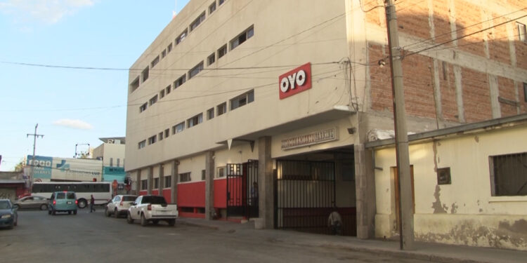 Aseguran plantío de marihuana en hotel del centro de Chihuahua