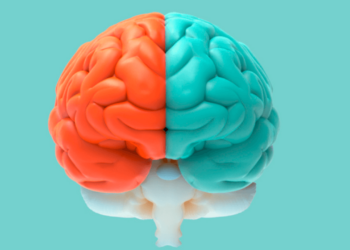 Así cambia tu cerebro cuando hablas varios idiomas