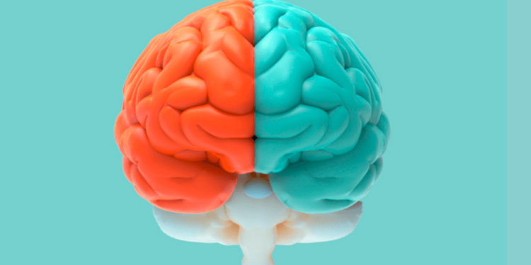 Así cambia tu cerebro cuando hablas varios idiomas