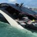 Se hundió yate Lamborghini valorado en 4 mdd en Miami con 32 personas a bordo