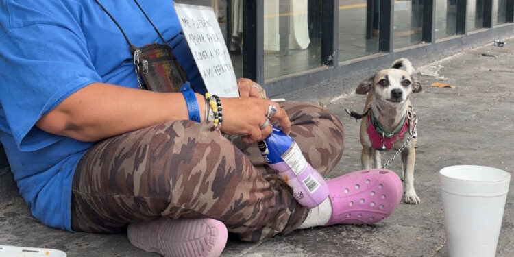 Chihuahua destaca en empleo formal, pero la informalidad y el desempleo persisten