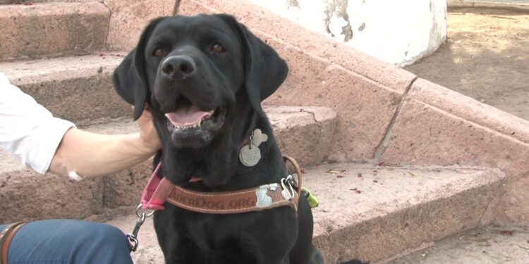 Denuncian discriminación contra hombre con discapacidad visual