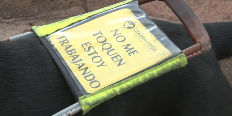 Denuncian discriminación contra hombre con discapacidad visual