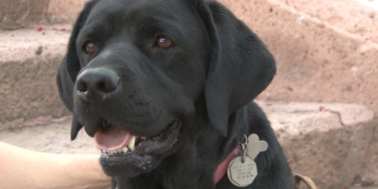 Denuncian discriminación contra hombre con discapacidad visual