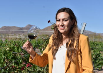 Vinícola Amelia, el arte de la vinificación