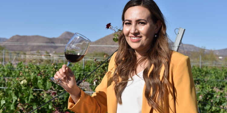 Vinícola Amelia, el arte de la vinificación