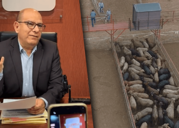 Llama Cuauhtémoc Estrada a evitar divisiones por gusano barrenador