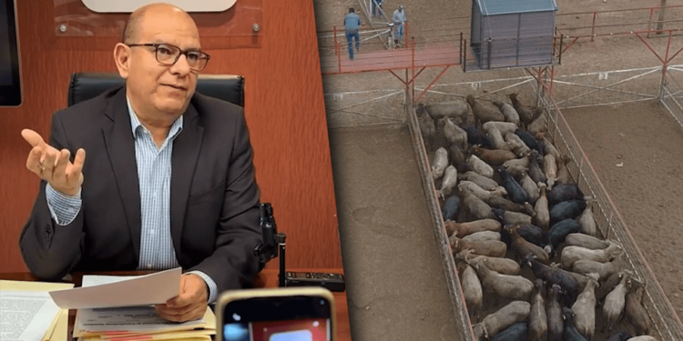 Llama Cuauhtémoc Estrada a evitar divisiones por gusano barrenador