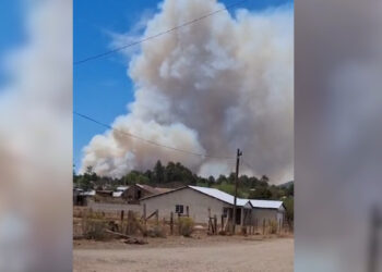 Incendio forestal amenaza La Norteña y El Largo Maderal