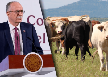 Gobierno Federal hará barrido sanitario en ranchos del sureste