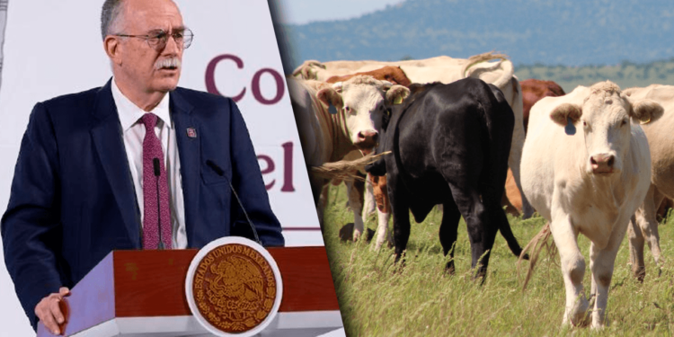 Gobierno Federal hará barrido sanitario en ranchos del sureste