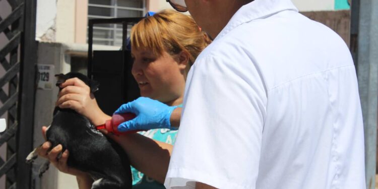 “Patio de mi casa” visitará estas colonias durante mayo