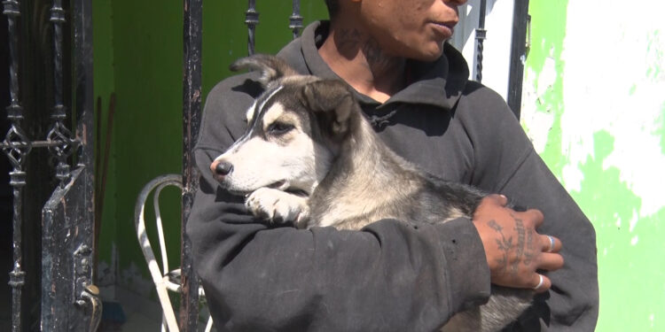 Hombre rescata a su perro de un incendio en Meoqui