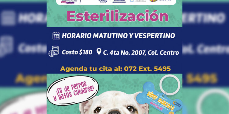 Ofrece IMPAS servicio de esterilización a mascotas en sus instalaciones