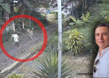 Linchan a pastor cristiano por perseguir e intentar abusar sexualmente de su hijastra