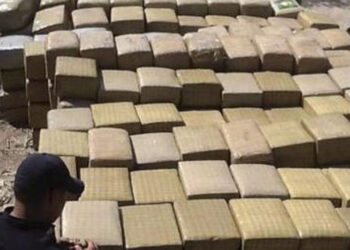 Aseguran dos ‘narcobodegas’ en Sinaloa por un valor de mil 933 mdp