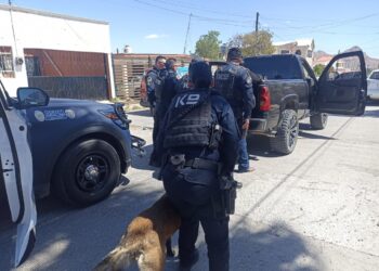 Operativo “Cero Tolerancia” en colonias conflictivas