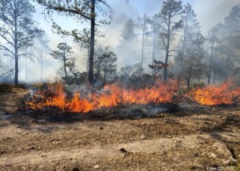 Reporta SDR 20 incendios activos en nueve municipios