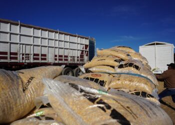 Entregará Municipio insumos agropecuarios a productores