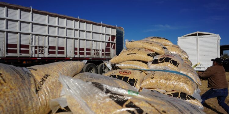 Entregará Municipio insumos agropecuarios a productores