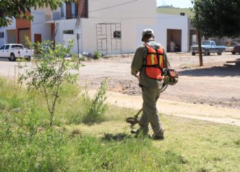 Se puede solicitar limpieza de terrenos a bajo costo, en Cuauhtémoc