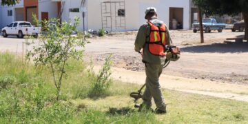 Se puede solicitar limpieza de terrenos a bajo costo, en Cuauhtémoc