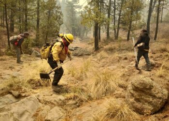 Brinda SDR apoyo para combatir incendio en Madera