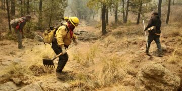 Brinda SDR apoyo para combatir incendio en Madera