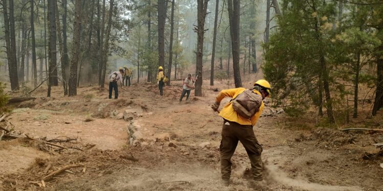 Brinda SDR apoyo para combatir incendio en Madera