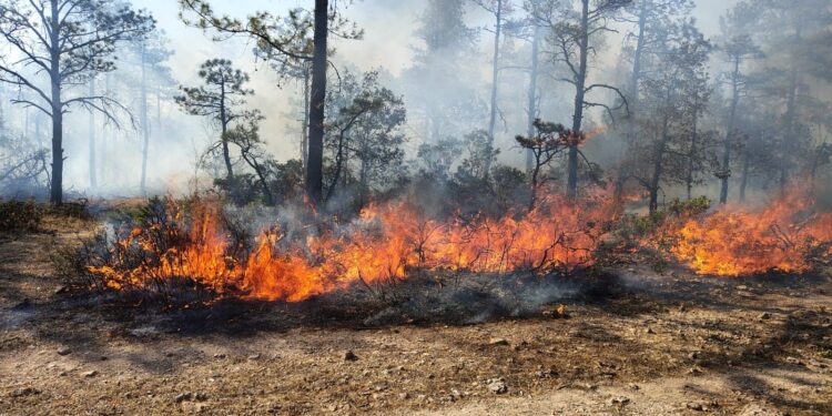 Brinda SDR apoyo para combatir incendio en Madera
