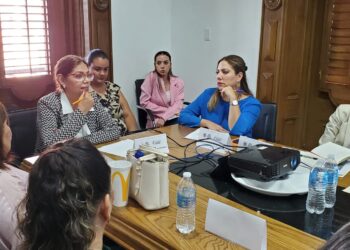 Conoce cómo funciona el Consejo Consultivo de Participación Ciudadana