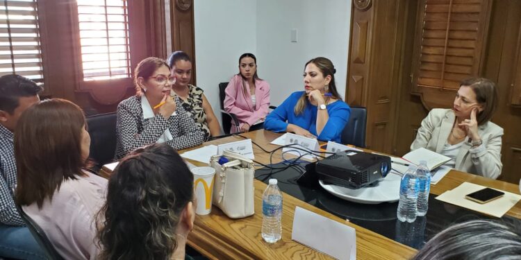 Conoce cómo funciona el Consejo Consultivo de Participación Ciudadana