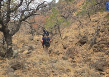 Realiza FGE rastreo en distintas localidades del seccional de Anáhuac