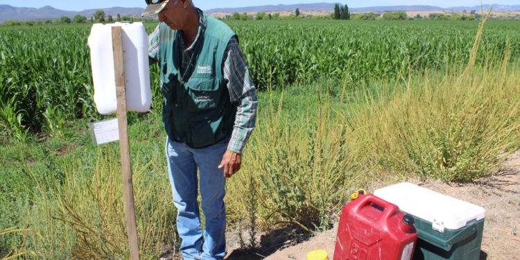 Invierten 415 mdp en sanidad agropecuaria en Chihuahua