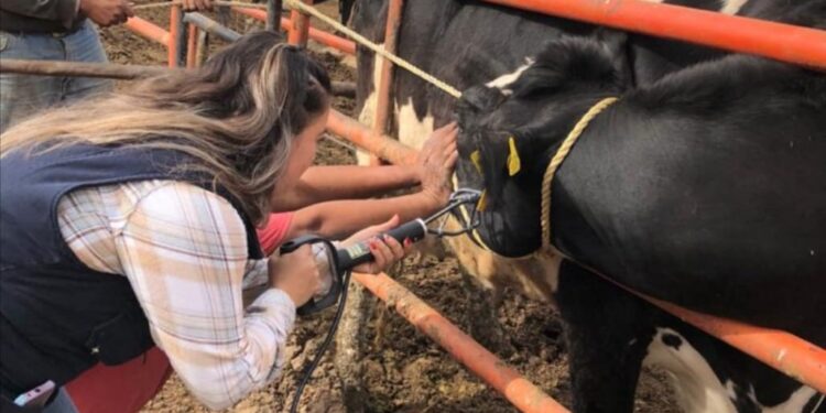Invierten 415 mdp en sanidad agropecuaria en Chihuahua