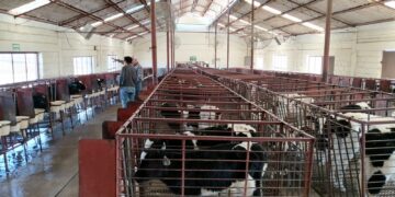 Invierten 415 mdp en sanidad agropecuaria en Chihuahua