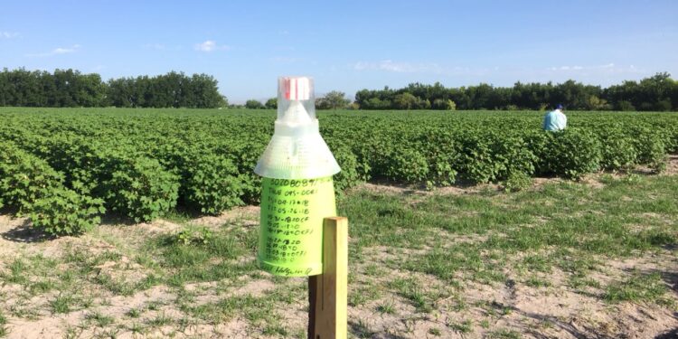 Invierten 415 mdp en sanidad agropecuaria en Chihuahua