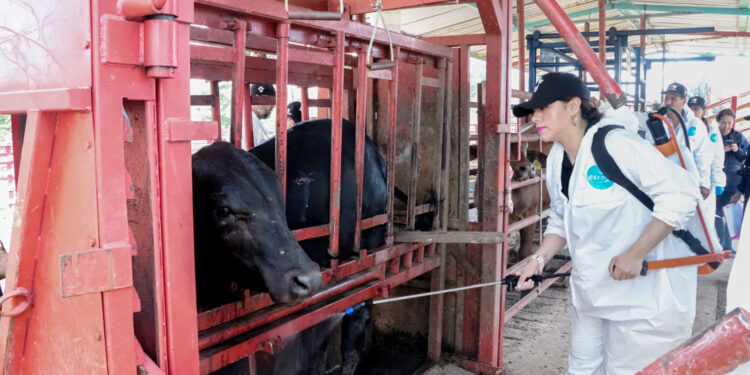 Invierten 415 mdp en sanidad agropecuaria en Chihuahua