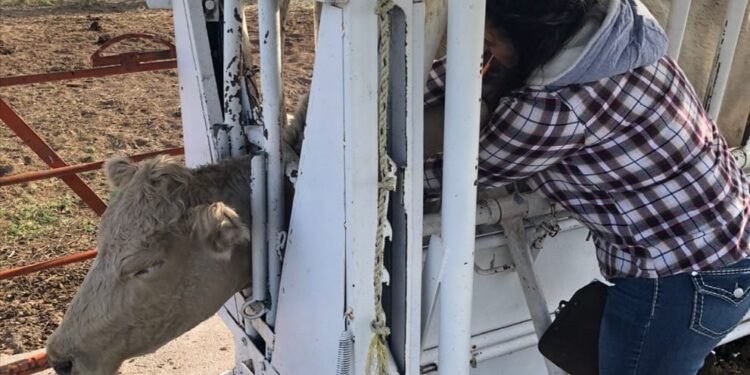 Invierten 415 mdp en sanidad agropecuaria en Chihuahua