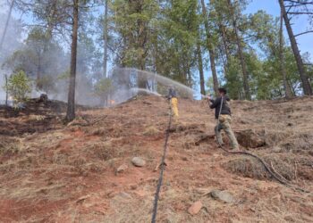 Nueve incendios forestales activos en Chihuahua