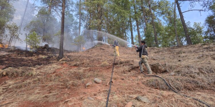 Nueve incendios forestales activos en Chihuahua