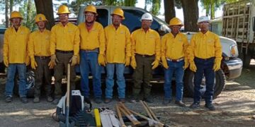 Refuerzan combate a incendios forestales en la Sierra Tarahumara