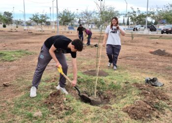 Reforestan parque La Huerta Legarreta con 35 árboles