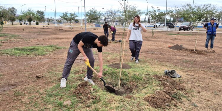 Reforestan parque La Huerta Legarreta con 35 árboles