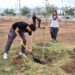 Reforestan parque La Huerta Legarreta con 35 árboles